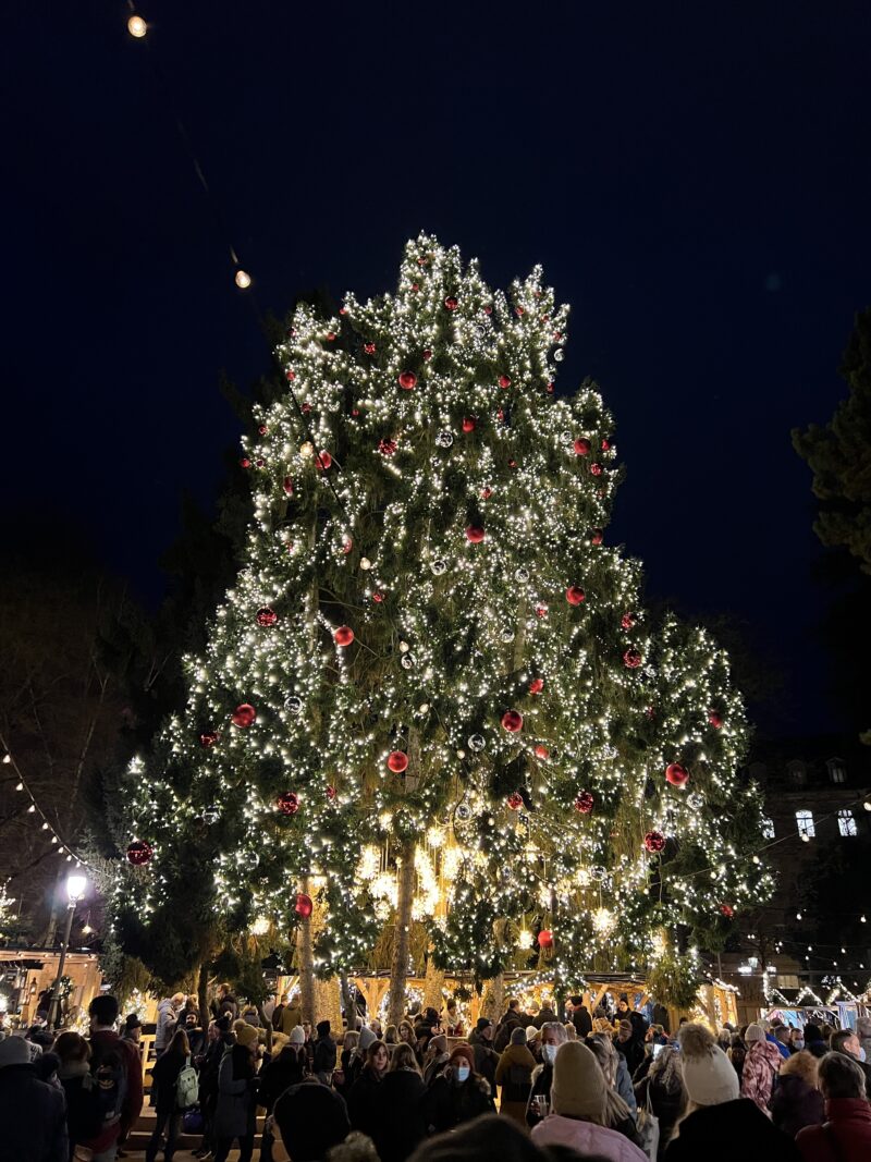 Weihnachtsbaum Sternenmarkt